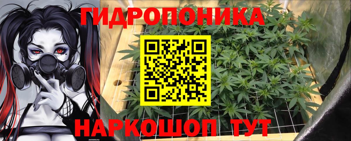 Марихуана сатива Похвистнево